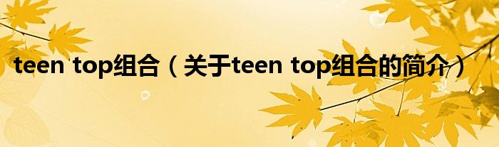 teen top组合（关于teen top组合的简介）