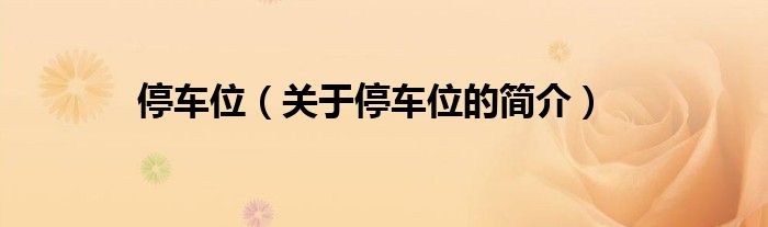 停车位（关于停车位的简介）