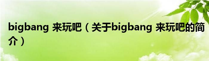 bigbang 来玩吧（关于bigbang 来玩吧的简介）