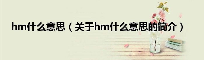 hm什么意思（关于hm什么意思的简介）