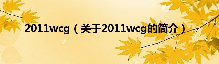 2011wcg（关于2011wcg的简介）