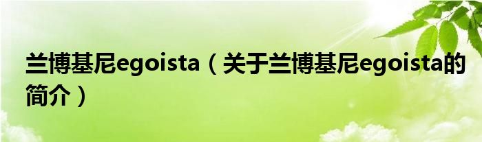 兰博基尼egoista（关于兰博基尼egoista的简介）