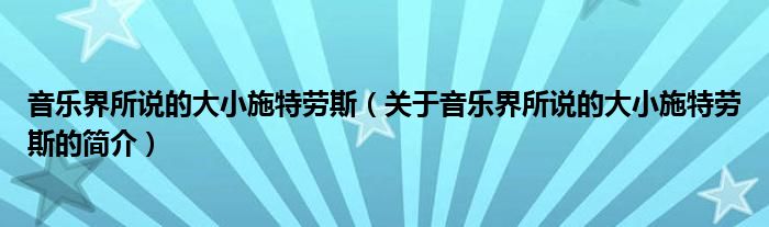 音乐界所说的大小施特劳斯（关于音乐界所说的大小施特劳斯的简介）