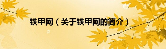 铁甲网（关于铁甲网的简介）