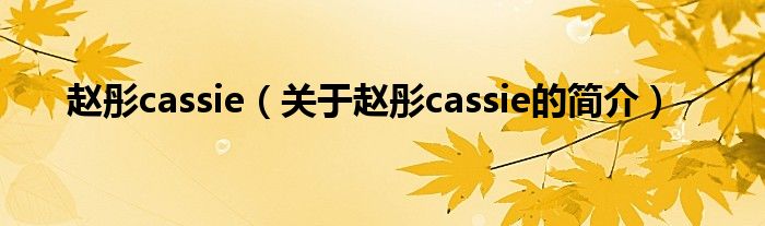 赵彤cassie（关于赵彤cassie的简介）