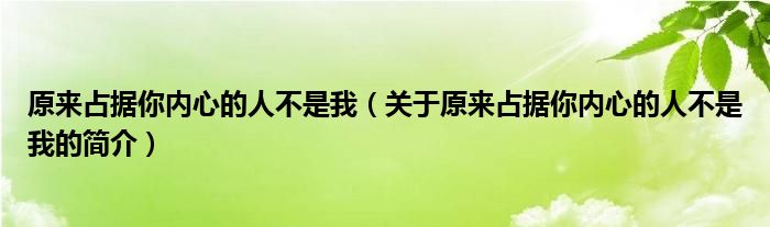 原来占据你内心的人不是我（关于原来占据你内心的人不是我的简介）