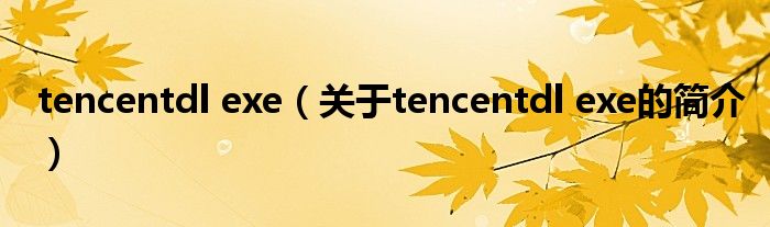 tencentdl exe（关于tencentdl exe的简介）