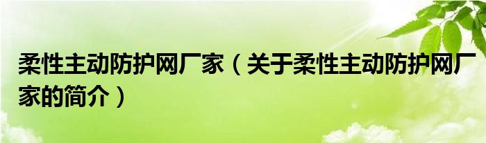 柔性主动防护网厂家（关于柔性主动防护网厂家的简介）