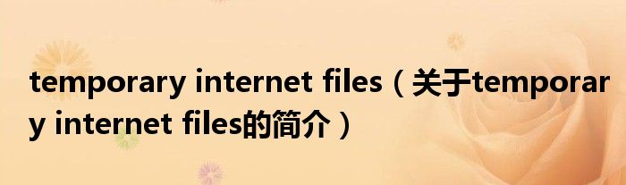 temporary internet files（关于temporary internet files的简介）