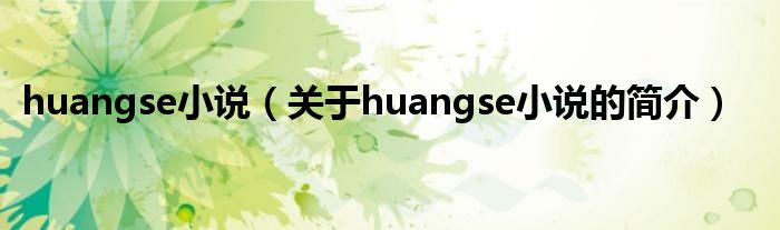 huangse小说（关于huangse小说的简介）