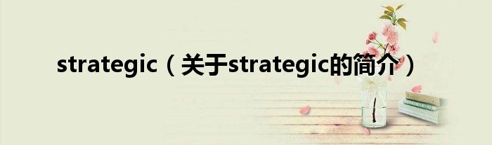 strategic（关于strategic的简介）