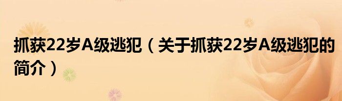 抓获22岁A级逃犯（关于抓获22岁A级逃犯的简介）