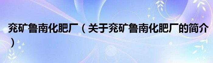 兖矿鲁南化肥厂（关于兖矿鲁南化肥厂的简介）