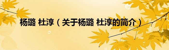 杨璐 杜淳（关于杨璐 杜淳的简介）