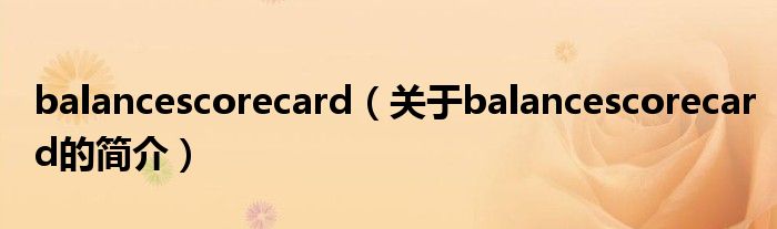 balancescorecard（关于balancescorecard的简介）