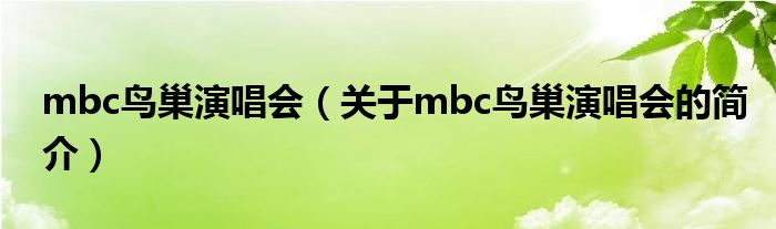 mbc鸟巢演唱会（关于mbc鸟巢演唱会的简介）