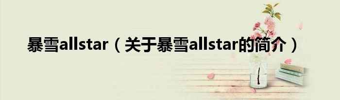 暴雪allstar（关于暴雪allstar的简介）