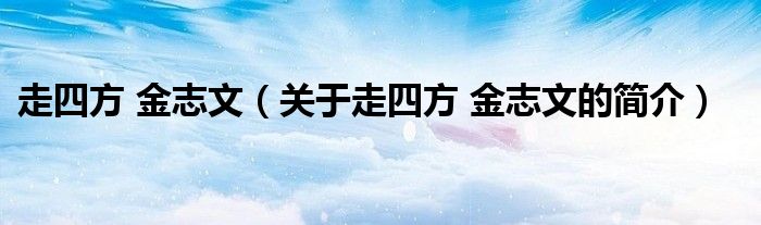 走四方 金志文（关于走四方 金志文的简介）