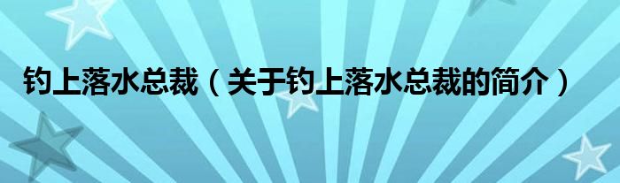 钓上落水总裁（关于钓上落水总裁的简介）