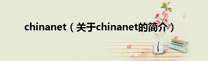 chinanet（关于chinanet的简介）