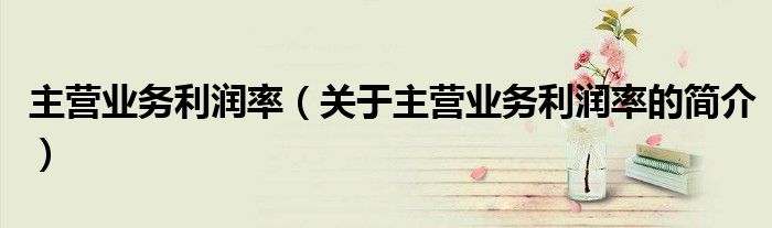 主营业务利润率（关于主营业务利润率的简介）