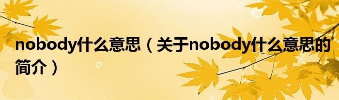 nobody什么意思（关于nobody什么意思的简介）