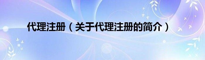 代理注册（关于代理注册的简介）