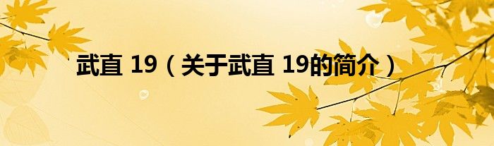 武直 19（关于武直 19的简介）