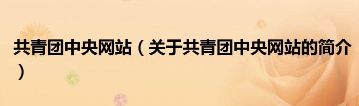共青团中央网站（关于共青团中央网站的简介）