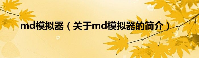 md模拟器（关于md模拟器的简介）