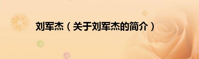 刘军杰（关于刘军杰的简介）