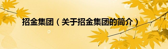 招金集团（关于招金集团的简介）