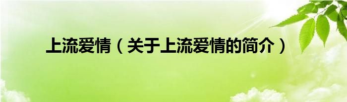 上流爱情（关于上流爱情的简介）