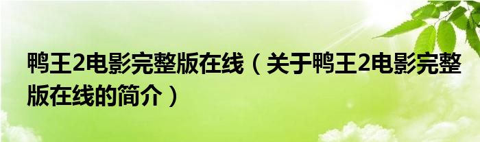 鸭王2电影完整版在线（关于鸭王2电影完整版在线的简介）