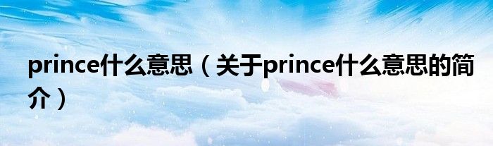 prince什么意思（关于prince什么意思的简介）