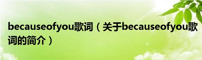 becauseofyou歌词（关于becauseofyou歌词的简介）