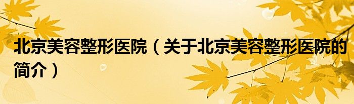 北京美容整形医院（关于北京美容整形医院的简介）