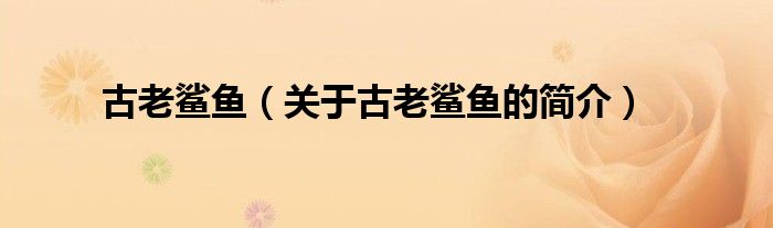 古老鲨鱼（关于古老鲨鱼的简介）