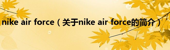 nike air force（关于nike air force的简介）