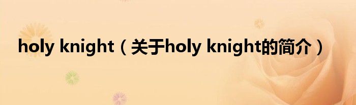 holy knight（关于holy knight的简介）