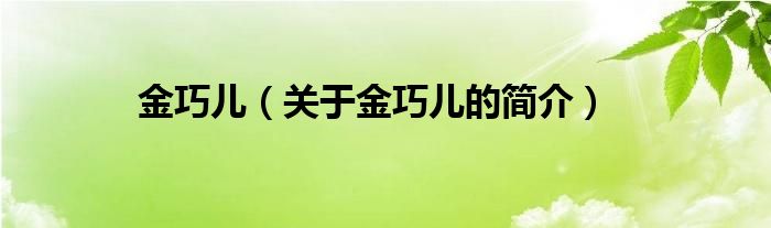 金巧儿（关于金巧儿的简介）