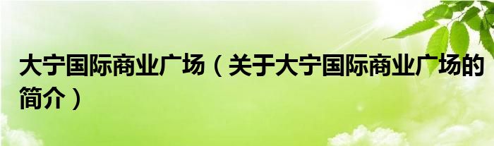 大宁国际商业广场（关于大宁国际商业广场的简介）