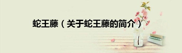 蛇王藤（关于蛇王藤的简介）