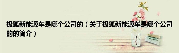 极狐新能源车是哪个公司的（关于极狐新能源车是哪个公司的的简介）