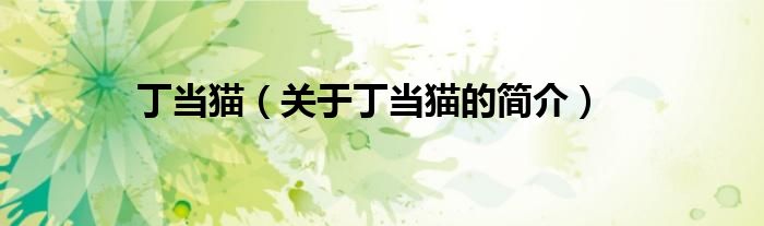 丁当猫（关于丁当猫的简介）
