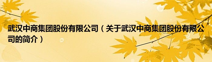 武汉中商集团股份有限公司（关于武汉中商集团股份有限公司的简介）