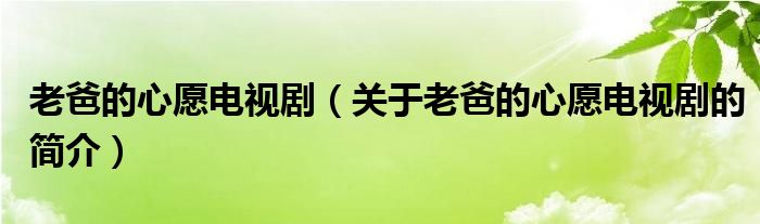 老爸的心愿电视剧（关于老爸的心愿电视剧的简介）