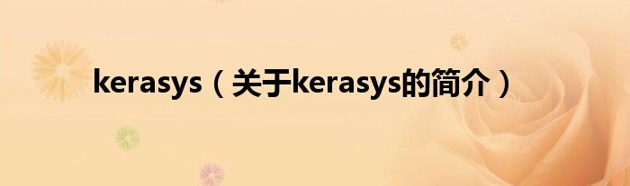 kerasys（关于kerasys的简介）