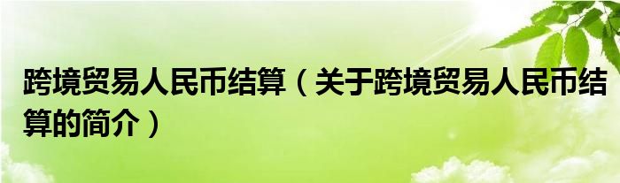 跨境贸易人民币结算（关于跨境贸易人民币结算的简介）