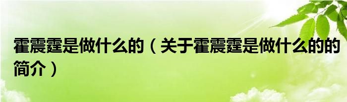 霍震霆是做什么的（关于霍震霆是做什么的的简介）